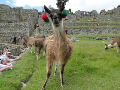 遺跡の道がまるでランウェイのように