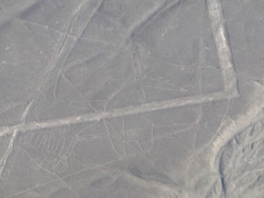 謎多きシャチの地上絵とその意味