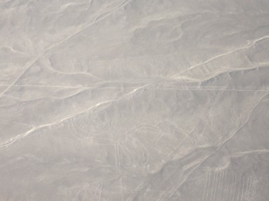 傾くセスナから見えた小さな猿の地上絵