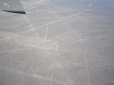 セスナから地上絵を探す首の運動