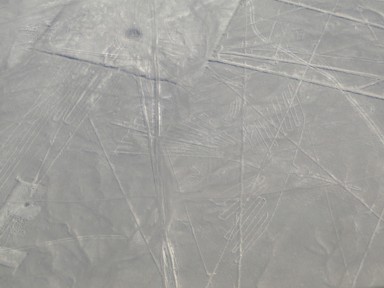 完成度の高い古代の地上絵に驚く