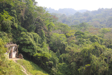 自然の力が人間を超える瞬間