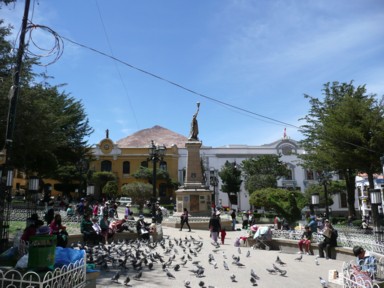 標高4000mでも変わらぬ鳩のいる広場の風景