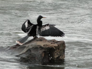 何かが出てきそうな変身の予感