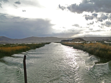 水草と航跡が織りなす催眠の風景