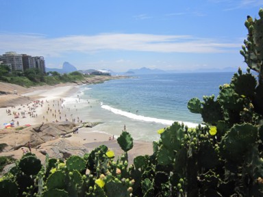 トゲをまとって絶景を守る自然の防御線