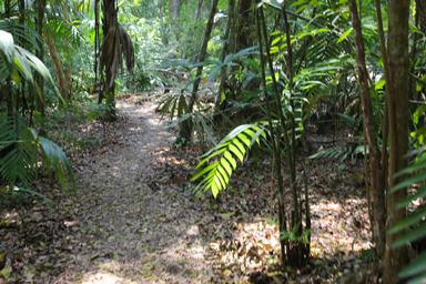 帰り道を間違えないように小さな違いを記憶する
