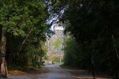 森の奥へ進んだ先に広がる異世界のような光景