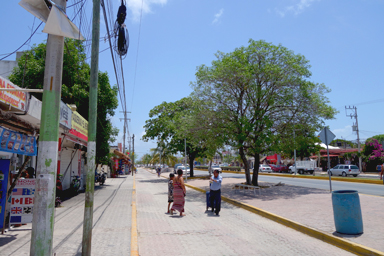 強烈な日差しが照りつける浜辺の太陽