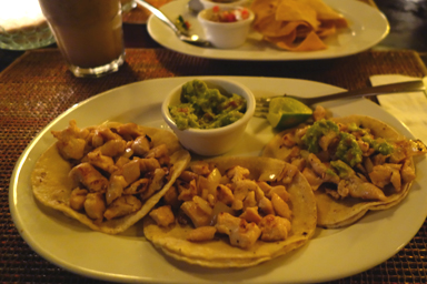 アボカドの本場で味わう本物の美味しさ