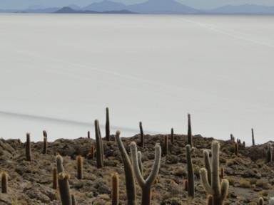 塩湖に浮かぶ変わった島の風景