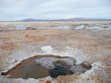 塩水に手を入れると一瞬で真っ白に