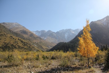 アラ・アルチャの山が迫る景色