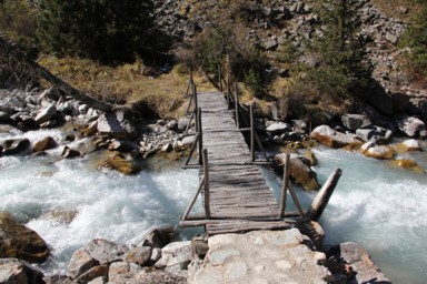 アラアルチャの木のボロボロの小さな橋