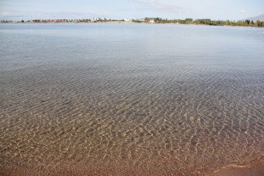 泳ぐ魚まで見える透明度の高いイシククルの湖水