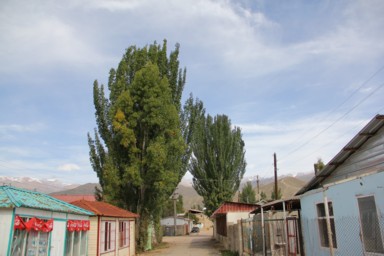 チョルポン・アタの質素な家が並ぶ通り