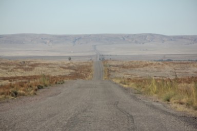 カザフスタンの荒涼とした大地を果てしなくのびる一本道の風景