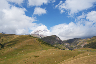 緑の牧草地帯と白いカズベキ山と青い空