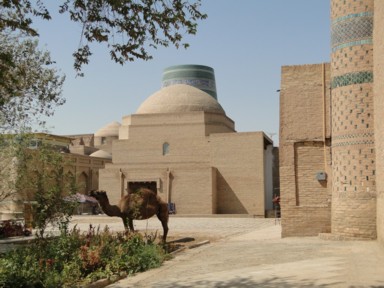 ヒヴァの木陰にラクダがいる風景
