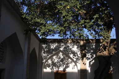 中庭に吹く涼しい風を感じる場所