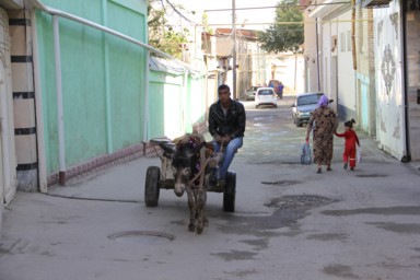宿の前で出会ったロバの姿
