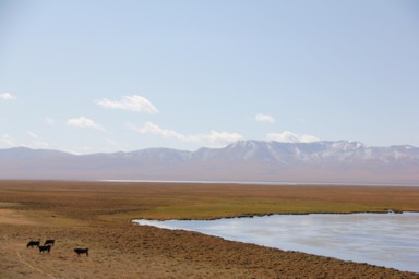 ソンクル湖と放牧の馬と山