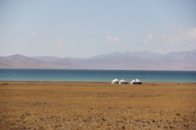 草が枯れて金色になった大地と真っ青なソンコル湖と白いテントのユルタ
