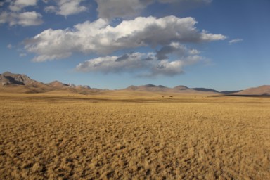ソン・コル湖の枯れた黄金の草が広がる様子