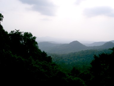 西ガーツ山脈の深い森と山並みが広がる自然景観。