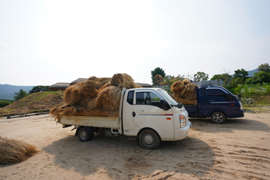 河回村の家づくりも地産地消の村の風景