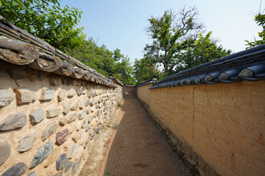 先まで歩きたくなる一本道の風景