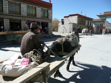 ギャンツェの移動手段のひとつ馬の荷車