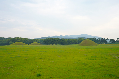 大陵苑の雨で青さを増す芝の古墳"