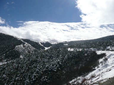 チベット自治区を抜け雲南省へ入ると緑も増える