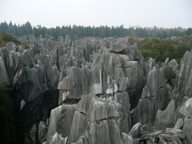 石林の鋭くそびえる石灰岩の奇岩群。