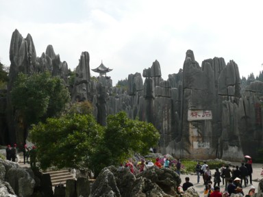 石林の奇岩が立ち並ぶ景観