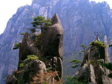 黄山の松と岩が織りなす中国的絶景