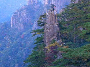 奇岩の先に立つ一本松の夢筆生花