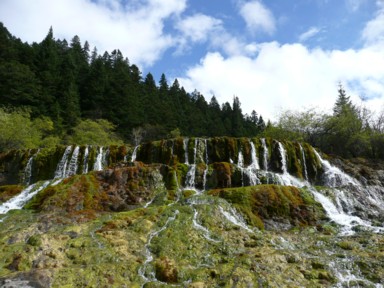 黄龍の苔むした滝