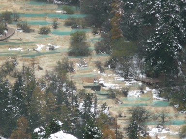 黄龍の縦に連なる棚田の景色