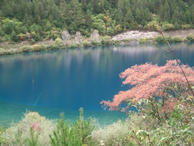 九寨溝の渓谷に並ぶ青い池の景観