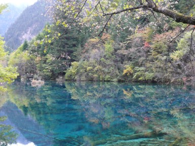 鏡のような九寨溝の池