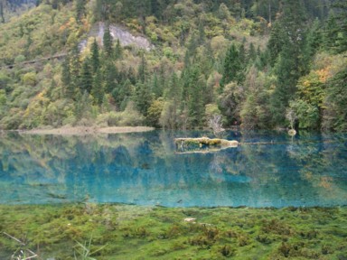 九寨溝の青い池に一本浮かぶ木が湖面に反射