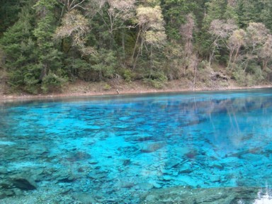 五彩池の青い池の色