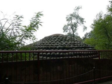 ぶつぶつした大仏の頭部