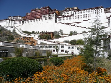 ポタラ宮と華やかな花