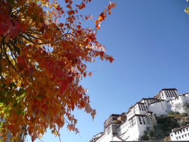 色彩豊かな木とポタラ宮