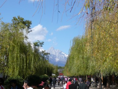 麗江の古城の入り口の柳が並ぶ通り