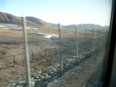 アンモニア入りの棒で地中温度を保つ青蔵鉄道の線路沿い