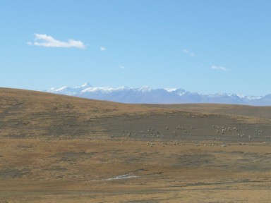 絶景の先にさらに絶景が続く青蔵高原